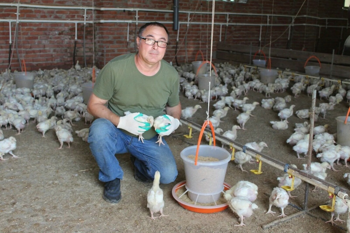      "Иң мөһиме - алга бару теләге булсын!"