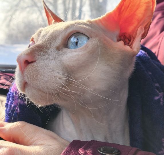 Решение окончательное