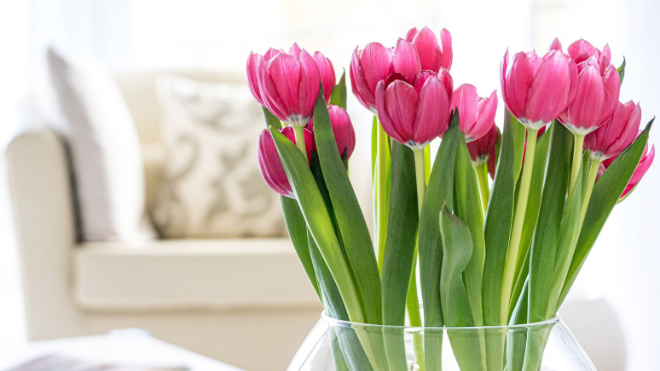 Фото: https://ru.freepik.com/free-photo/pink-tulips-contemporary-light-living-room-interior-1_15256156.htm#