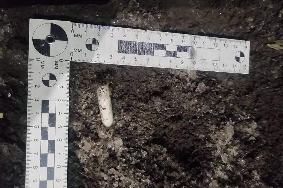    Фото: ГУ МВД России по Волгоградской области