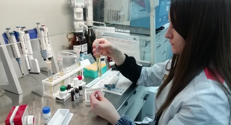 Фото: ФГБУ «ЦОК АПК»,