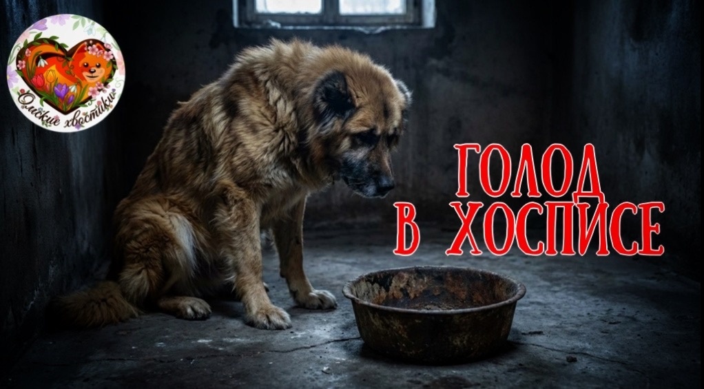 Нам в кастрюлю совершено НЕЧЕГО НАСЫПАТЬ!