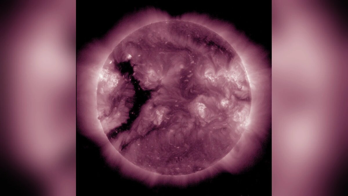    Фото t.me/lpixras