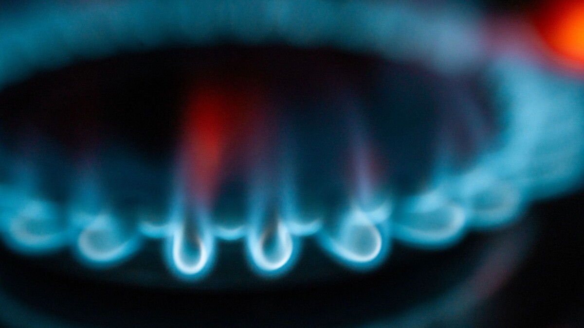    Фото: Сергей Зубков/«Ямал-Медиа»