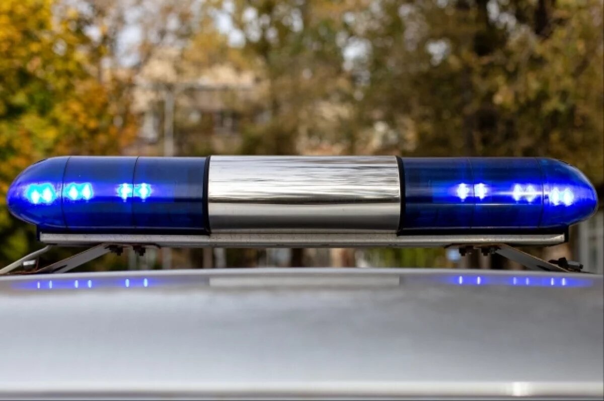    Появилось видео ДТП с автобусом, влетевшим в дерево ради спасения ребёнка