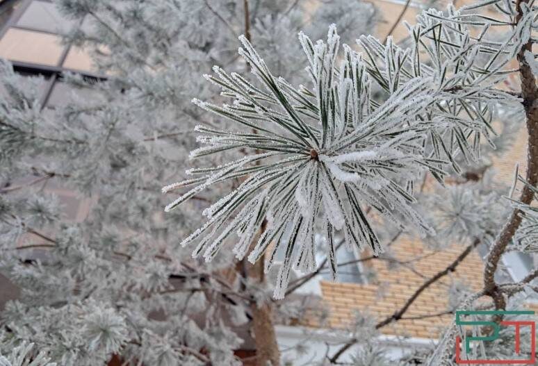 Юлия Бидун / «РТ»