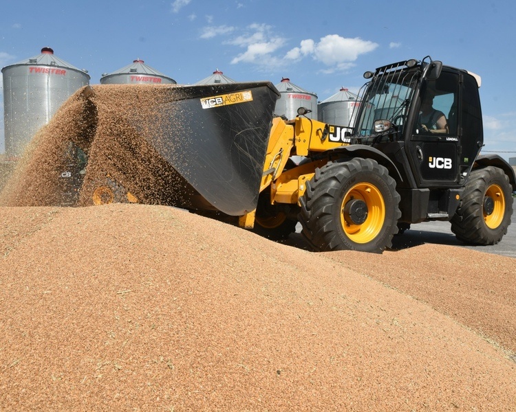     Курская область увеличила экспорт продукции АПК на 32% за два месяца