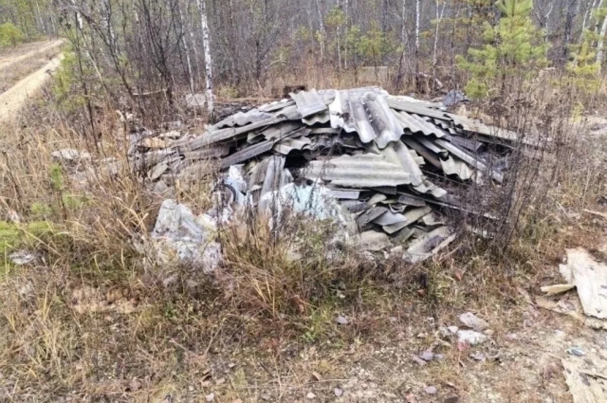    Владимирский прокурор заставил компанию убрать гигантскую свалку