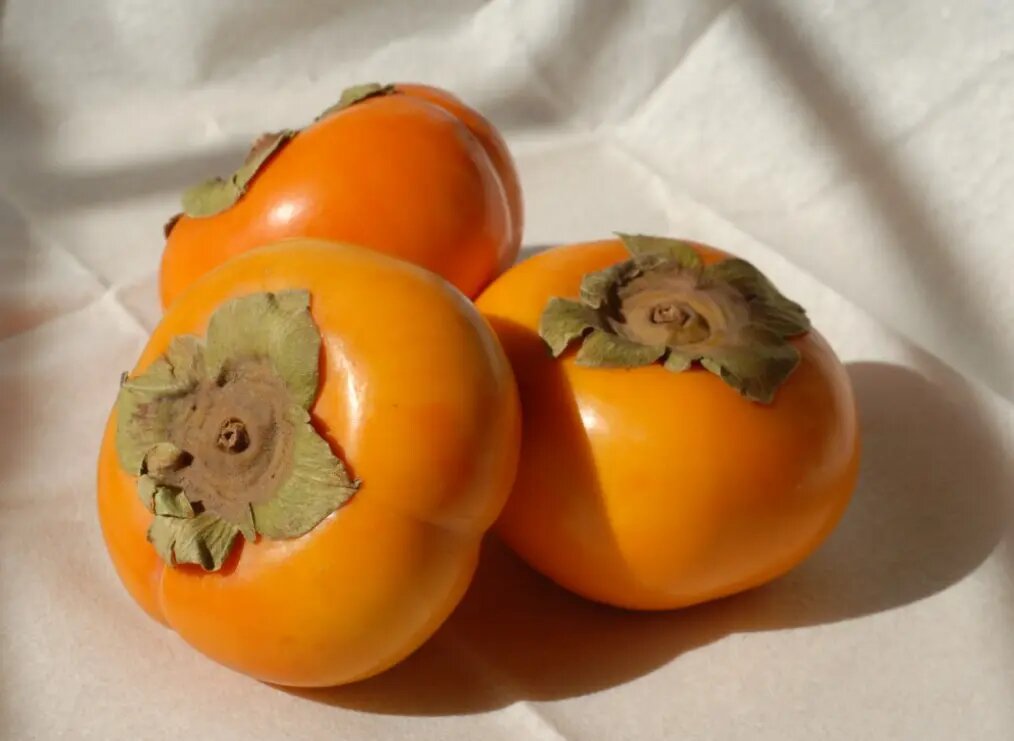    Хурма. Фото: pxhere