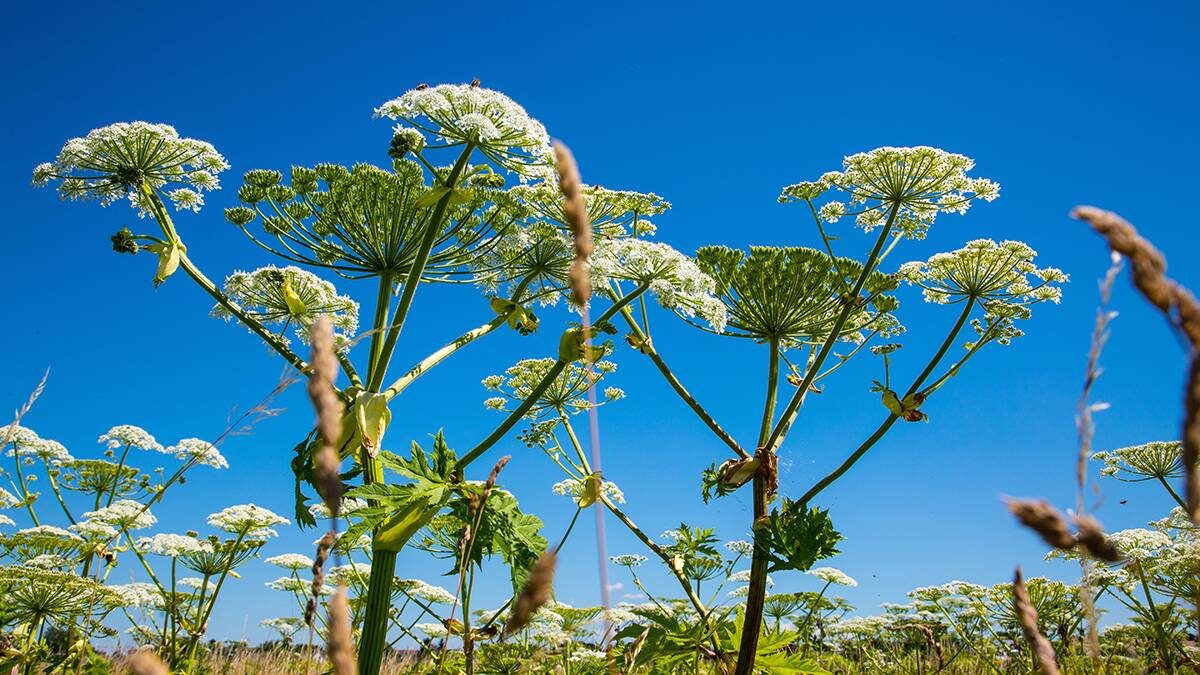    Фото: Shutterstock