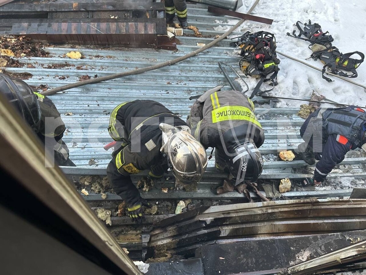     / Источник: Социальные сети