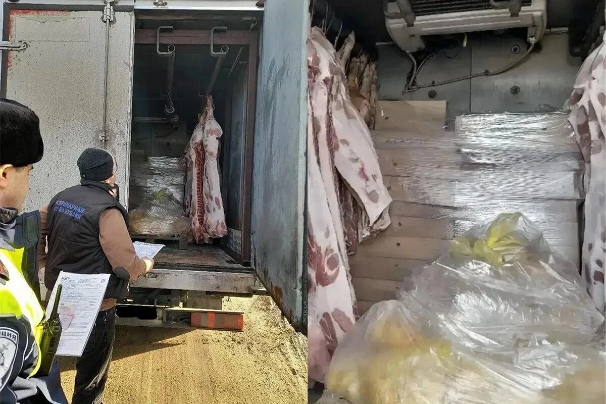    Фото пресс-службы департамента ветеринарии Краснодарского края