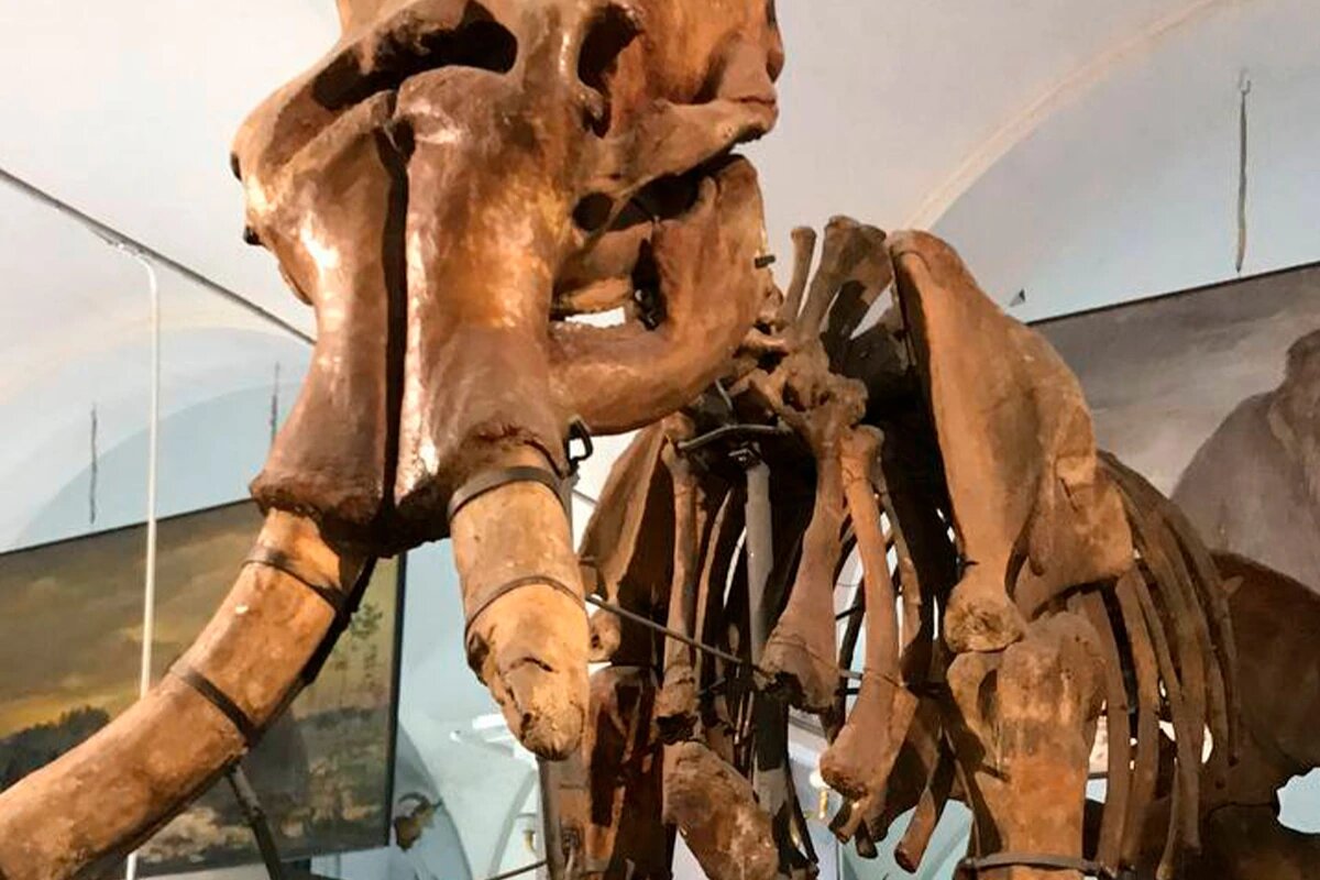    Фото «Кубань 24»