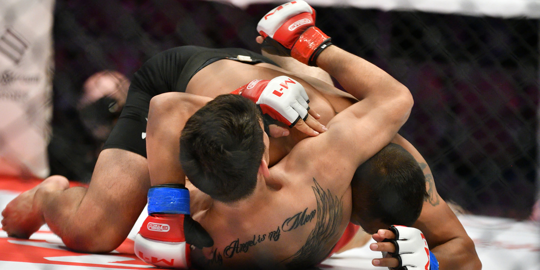 UFC в Белом доме: главный бой, полный список участников