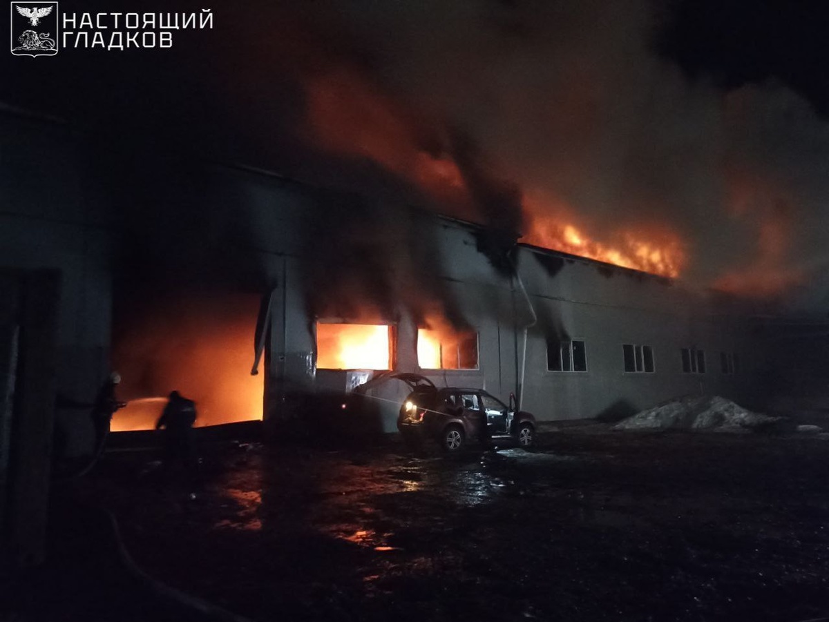     Фото: t.me/vvgladkov (архив)