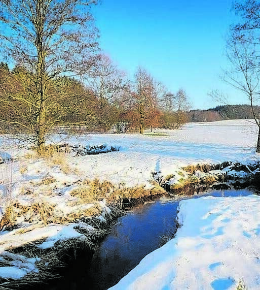      Табигать уянганда