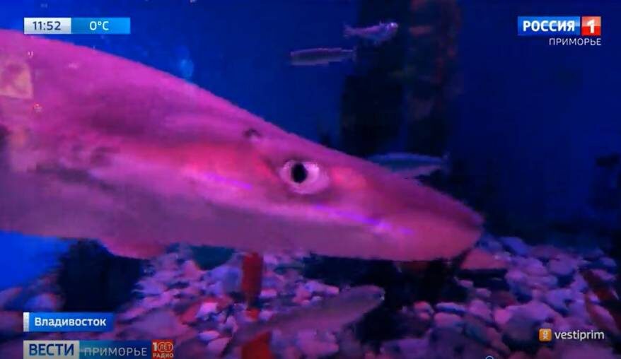    Источник фото: