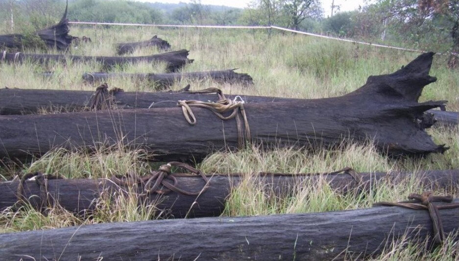 «Чёрные алмазы» российских рек — как добывали и добывают морёный дуб, который по доходам сопоставим с добычей алмазов