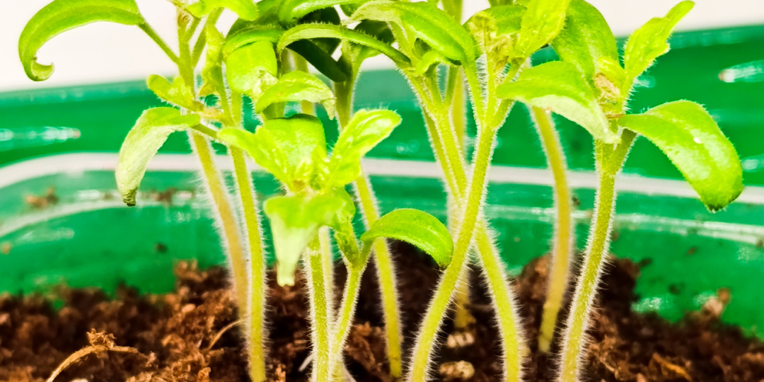 Ну что? Московская область начинаем посев потихонечку.