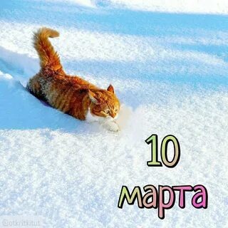 Яндекс Открытый источник 