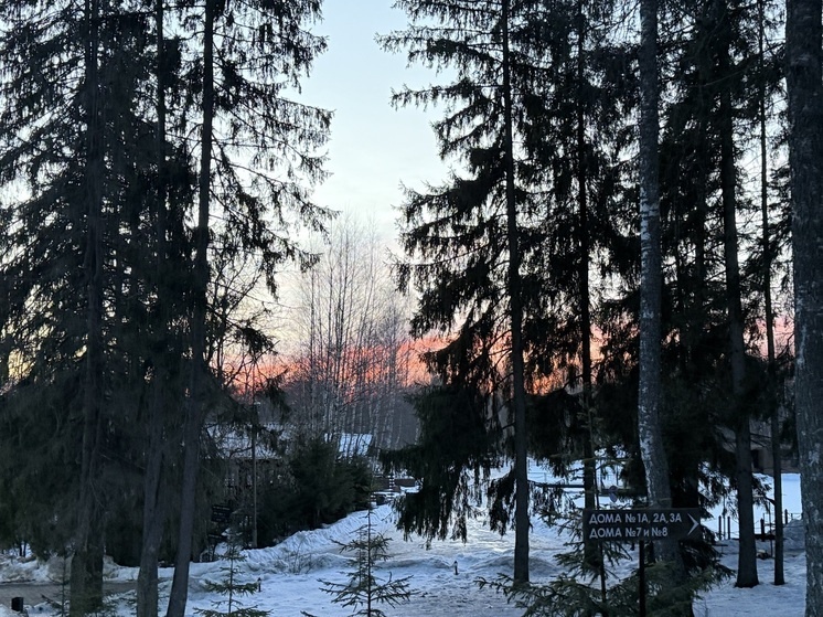     Фото: Александра Ковалева
