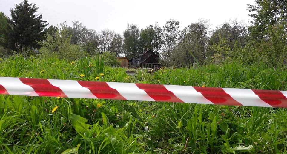    Разметка Дачных участков / Медиасток.рф