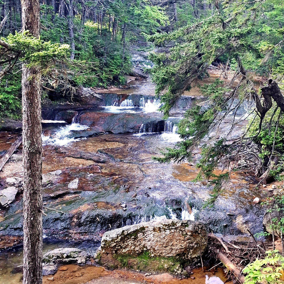 Кислый ручей на острове Кунашир. Фото автора.