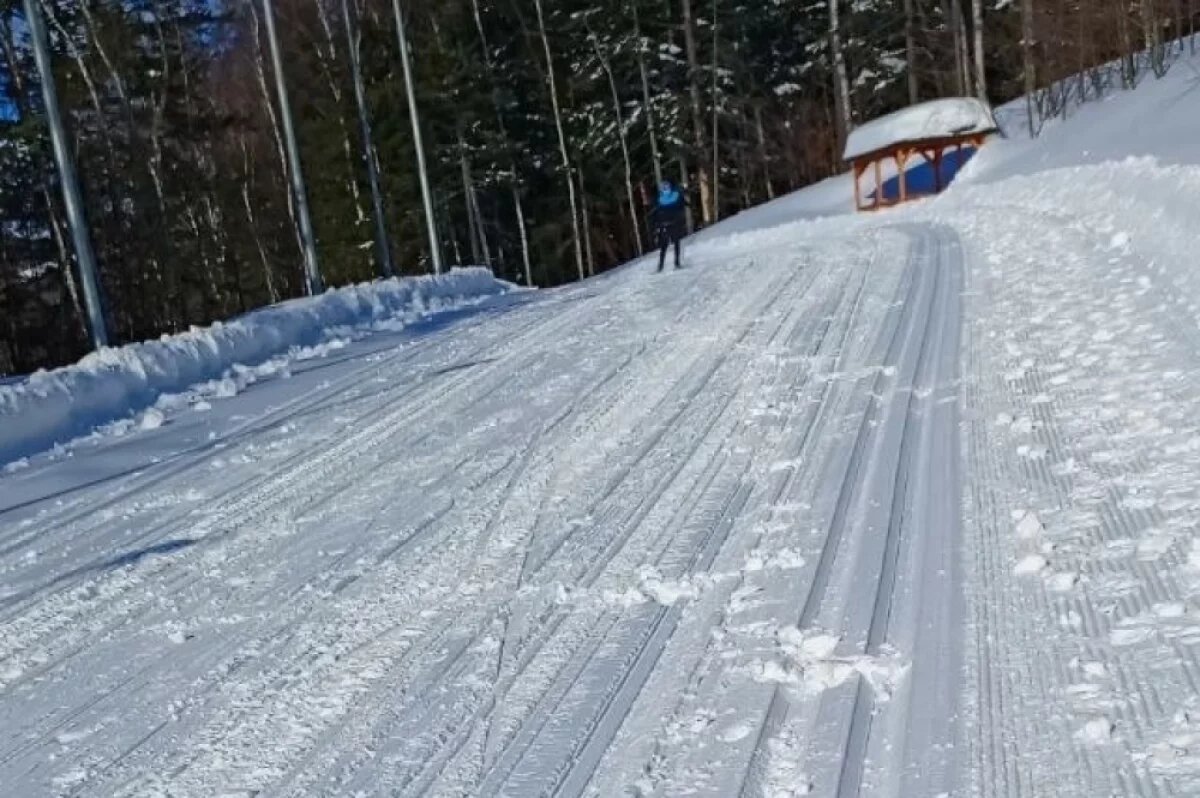    Жители Южно-Сахалинска пожаловались на гуляющих без поводка собак на лыжне