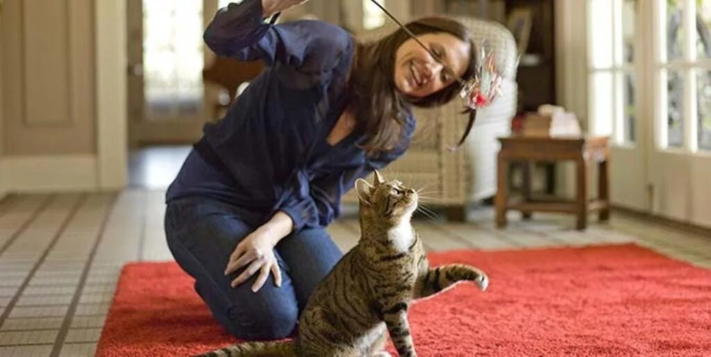 Фото Яндекс Картинки