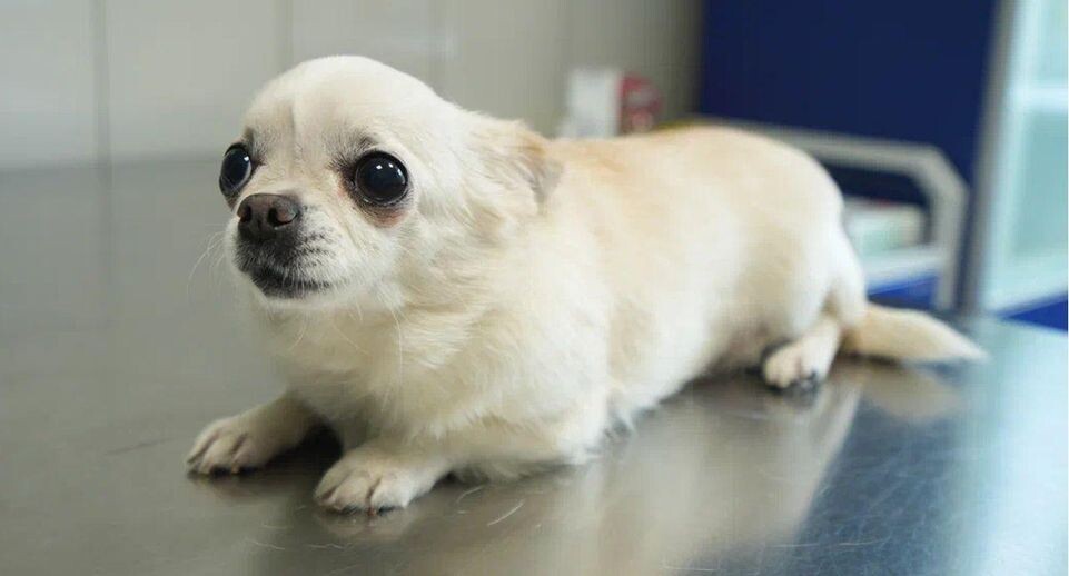    REGIONS/Наталья Надточая