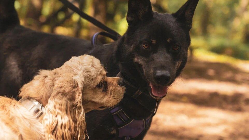    REGIONS/Наталья Надточая