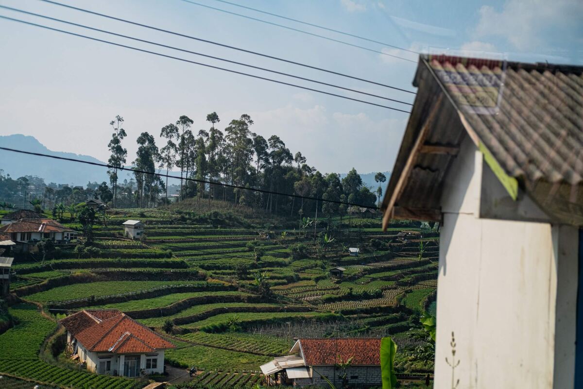 На реализацию новой программы Nescafé Plan 2030 выделяют более 1 млрд швейцарских франков (примерно 1,3 млрд долларов США)