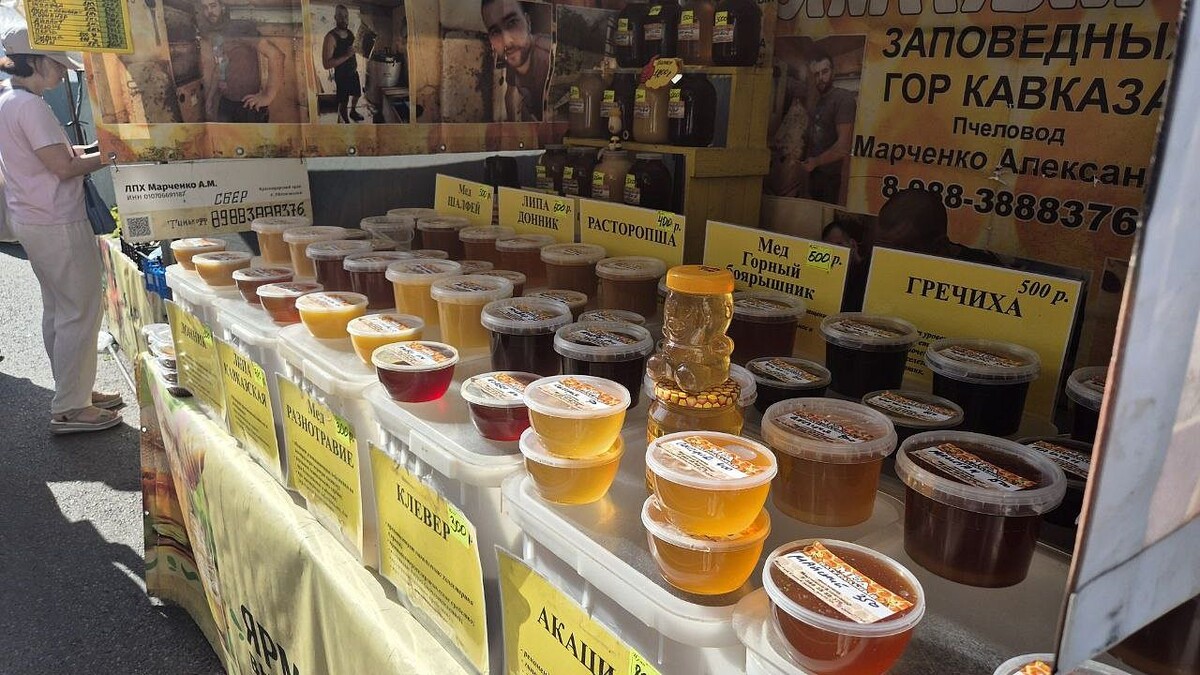    Фото: телеканал «Краснодар»