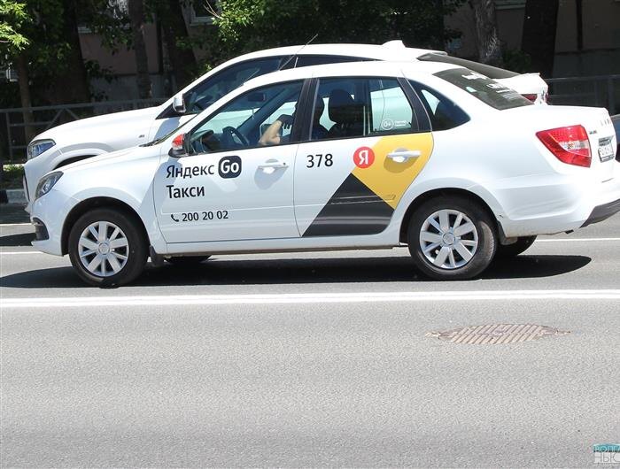    ФОТО: Ламзина Александра