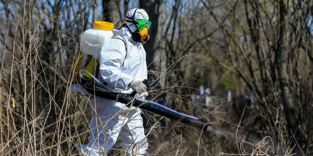 Туляки, готовьтесь: стало известно, когда ждать первых клещей в 2026 году