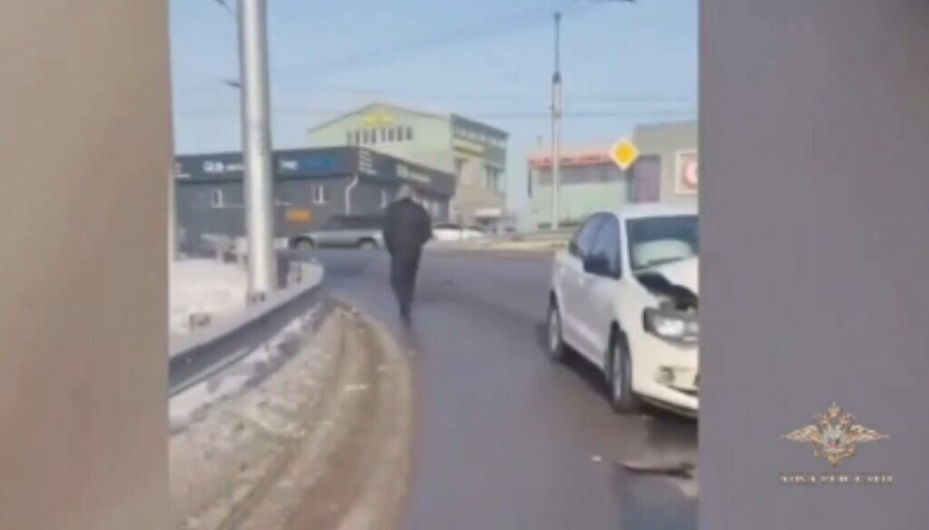    Фото: кадр видео официального представителя МВД России Ирины Волк