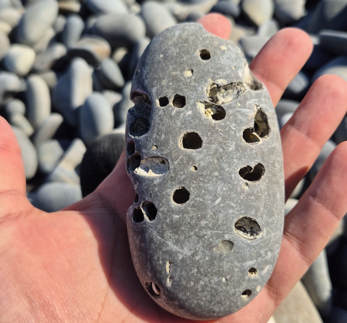 Этот камень я нашел на пляже Алексино