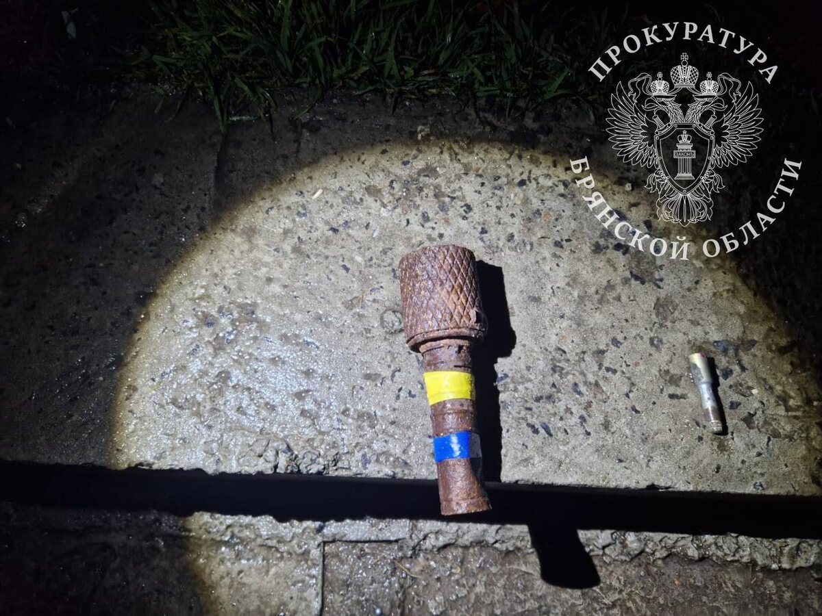    В Брянской области осужден мужчина, который оставил в ТРЦ гранату времен ВОВ