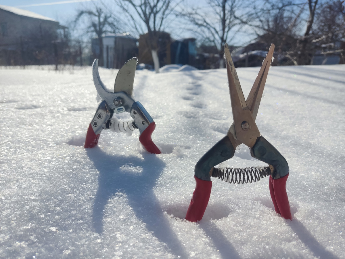 Красные ручки выходят на работу