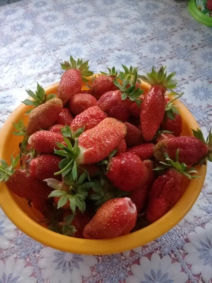 из личных архивов