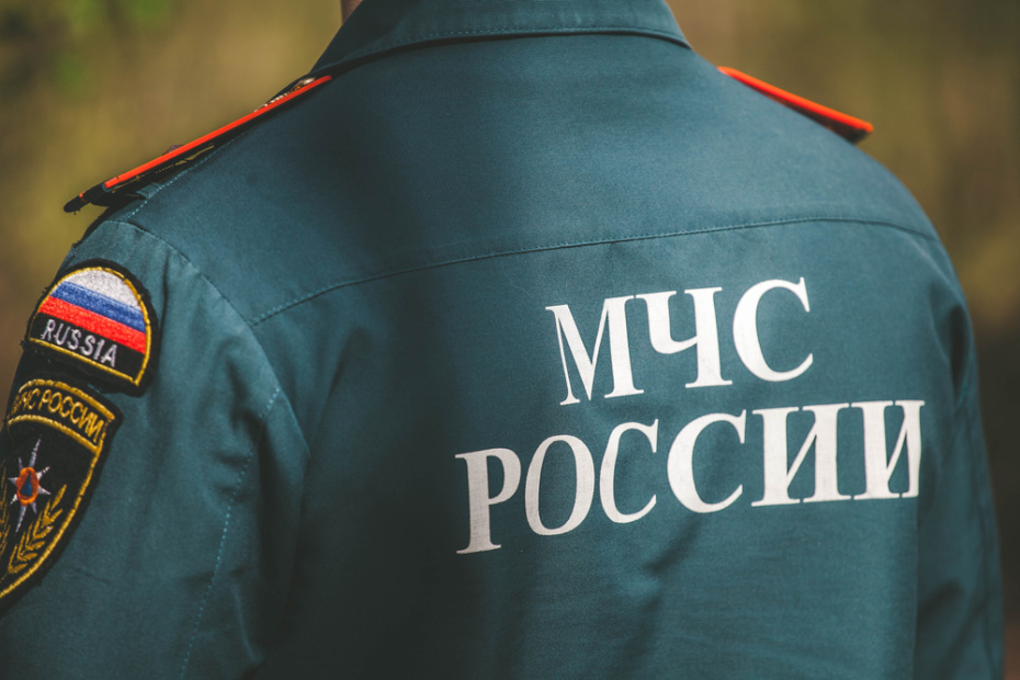    Shutterstock/FOTODOM