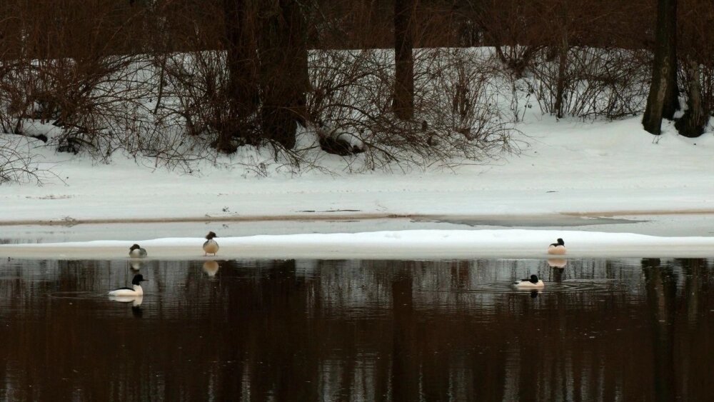    Фото: Каждой твари по паре / Павел Глазков/ Каждой твари по паре / Павел Глазков