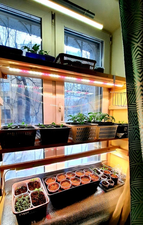 Фото автора.