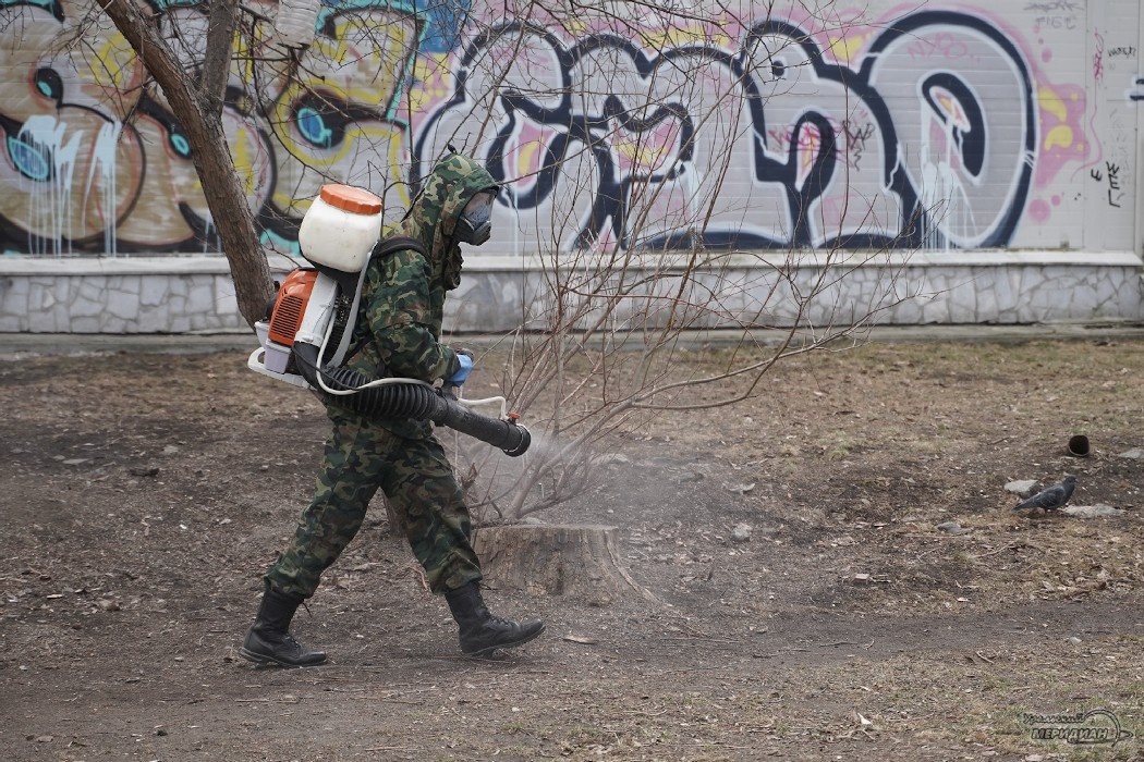    Фото: Лидия Аникина © ИА «Уральский меридиан»