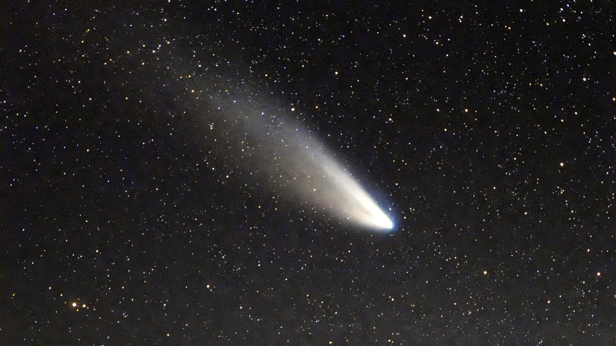 Изображение Grok  📷
