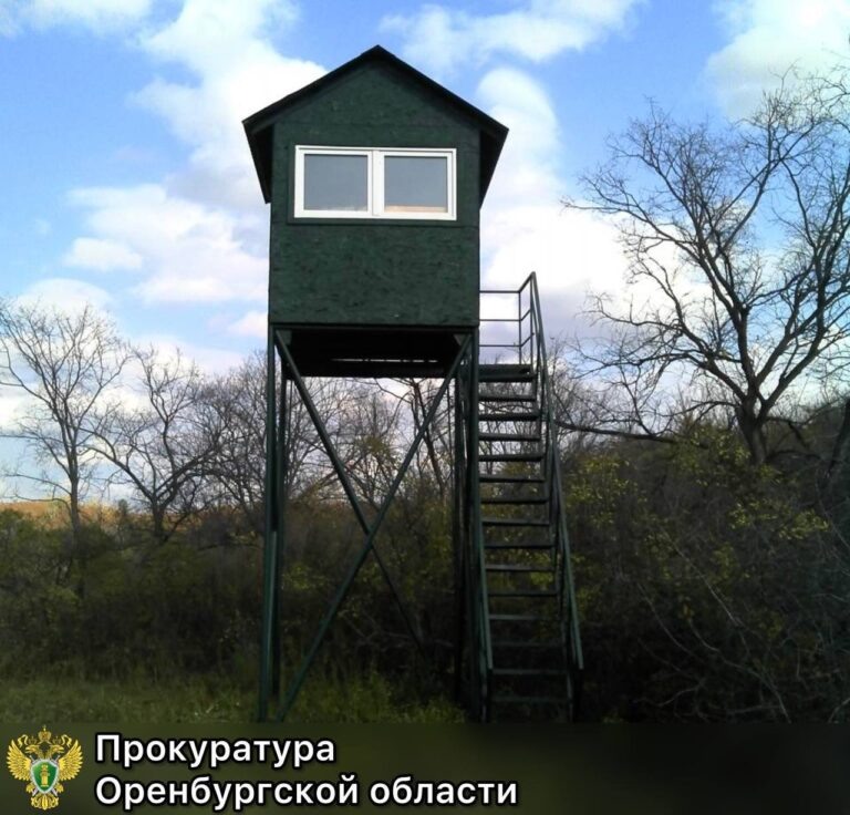    Суд обязал очистить незаконно занятый лесной участок в Тоцком районе Оренбуржье