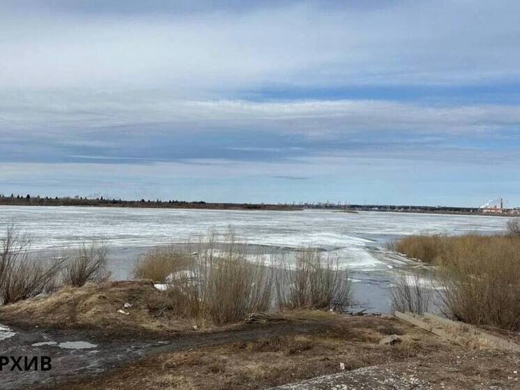     фото: телеграм-канал Дмитрия Махини