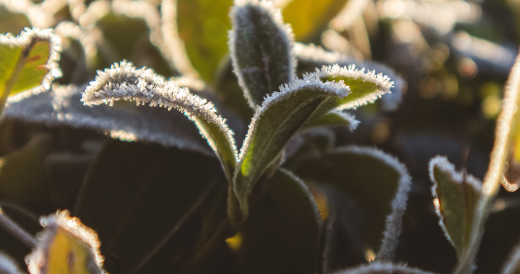 Налоговая оттепель: как власти пытаются смягчить налоговые ужесточения 2026-го