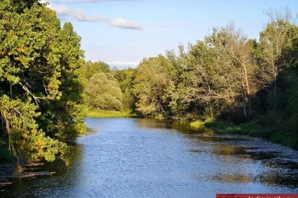    Во Владимире стартует экологический марафон