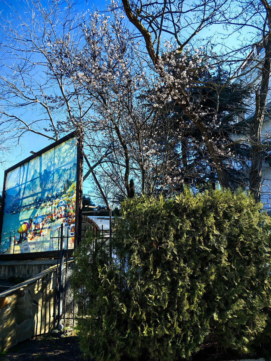 Сегодня. Фото автора канала